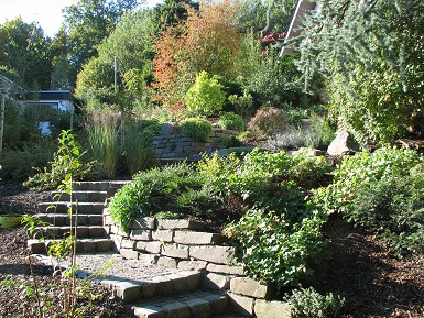 Gartenimpressionen