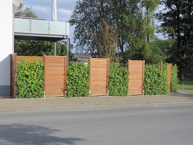 Gartenimpressionen