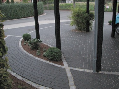 Gartenimpressionen
