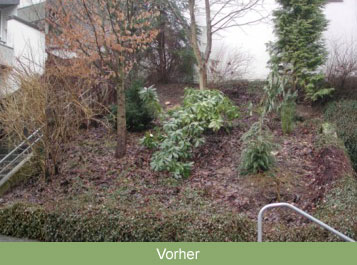 Projekt Vorher