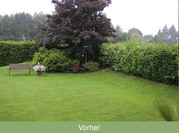 Projekt Vorher